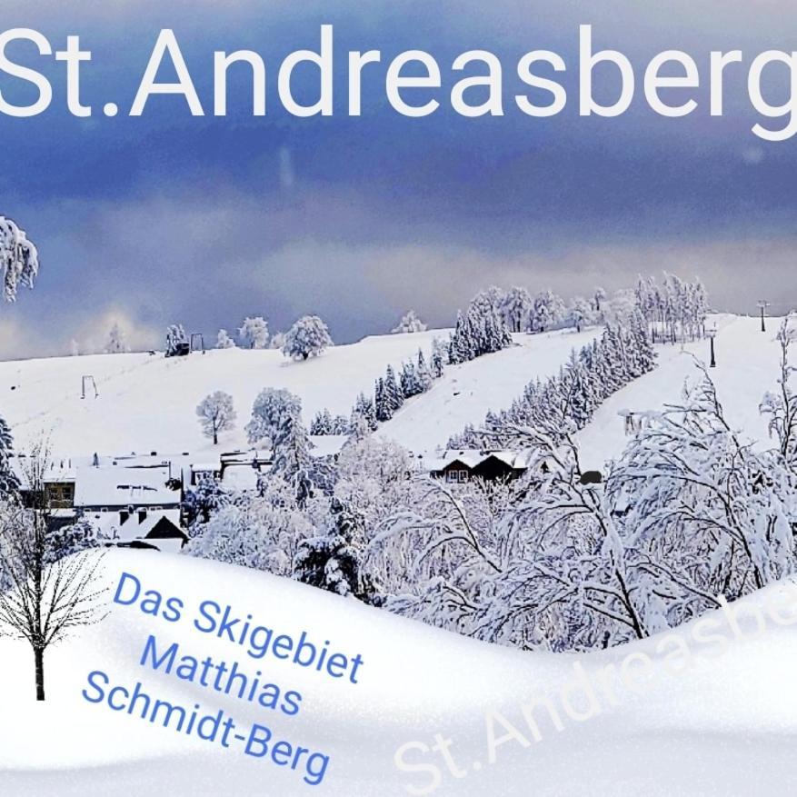 4 Sterne Ferienwohnung 140 Qm Im Haus Tina Sankt Andreasberg Exterior photo